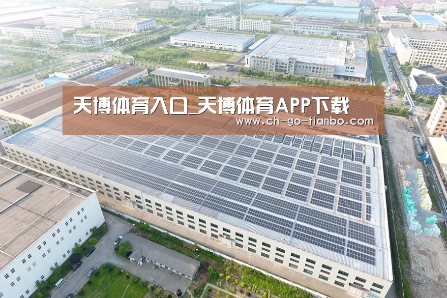 案例展示二