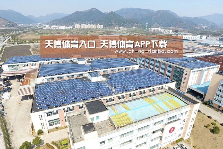 案例展示二