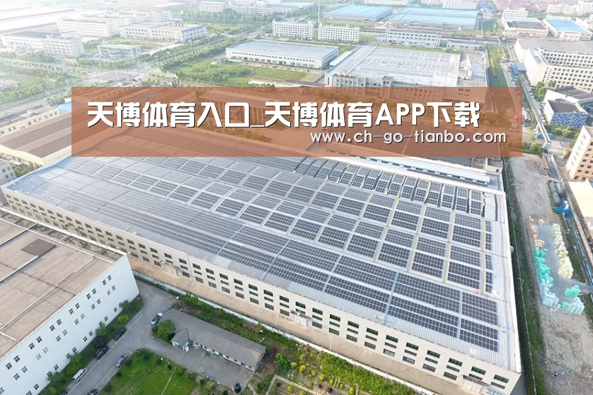 案例展示一