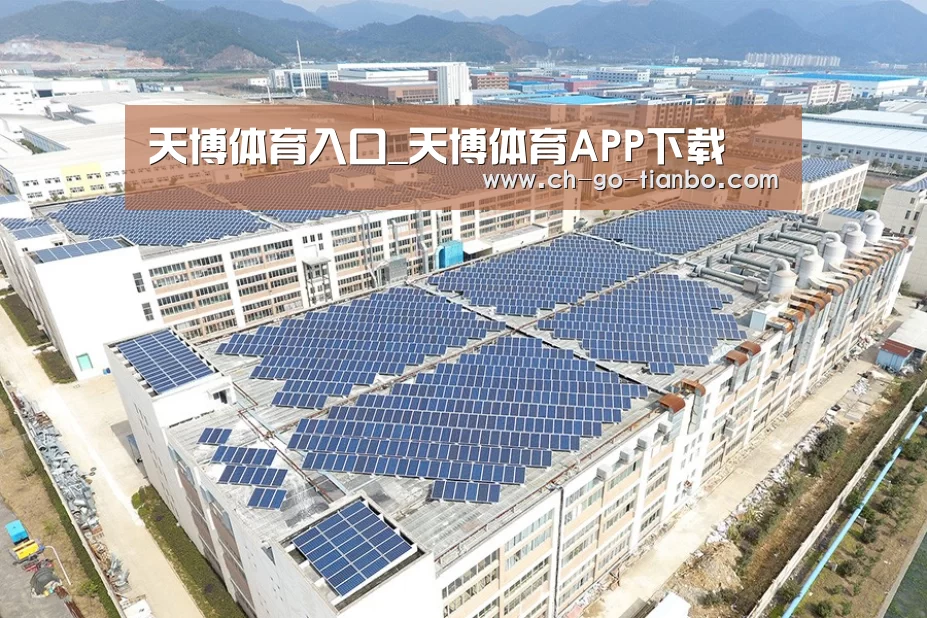 案例展示一
