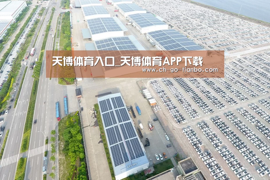 案例展示四