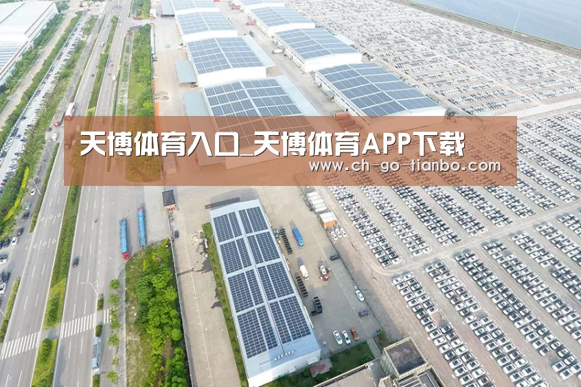 案例展示二