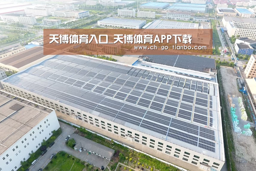 案例展示四