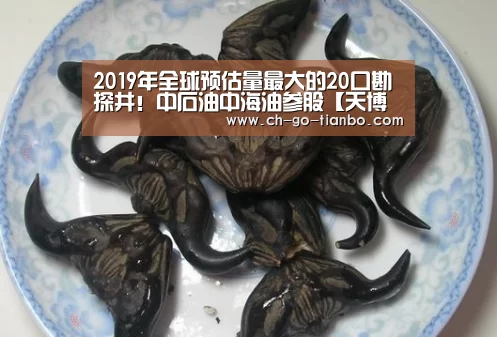 天博体育app下载