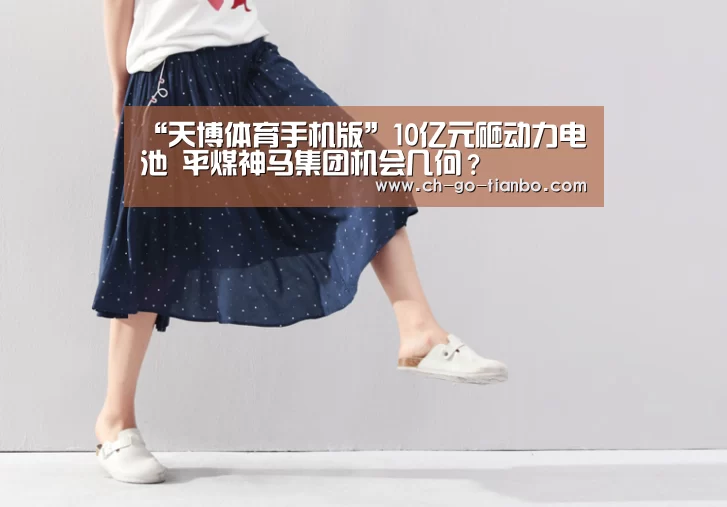“天博体育手机版”10亿元砸动力电池 平煤神马集团机会几何?(图1) 天博体育入口