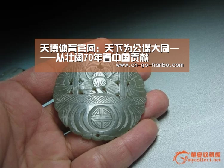 天博体育官网:天下为公谋大同—-—从壮阔70年看中国贡献(图4) 天博体育app下载